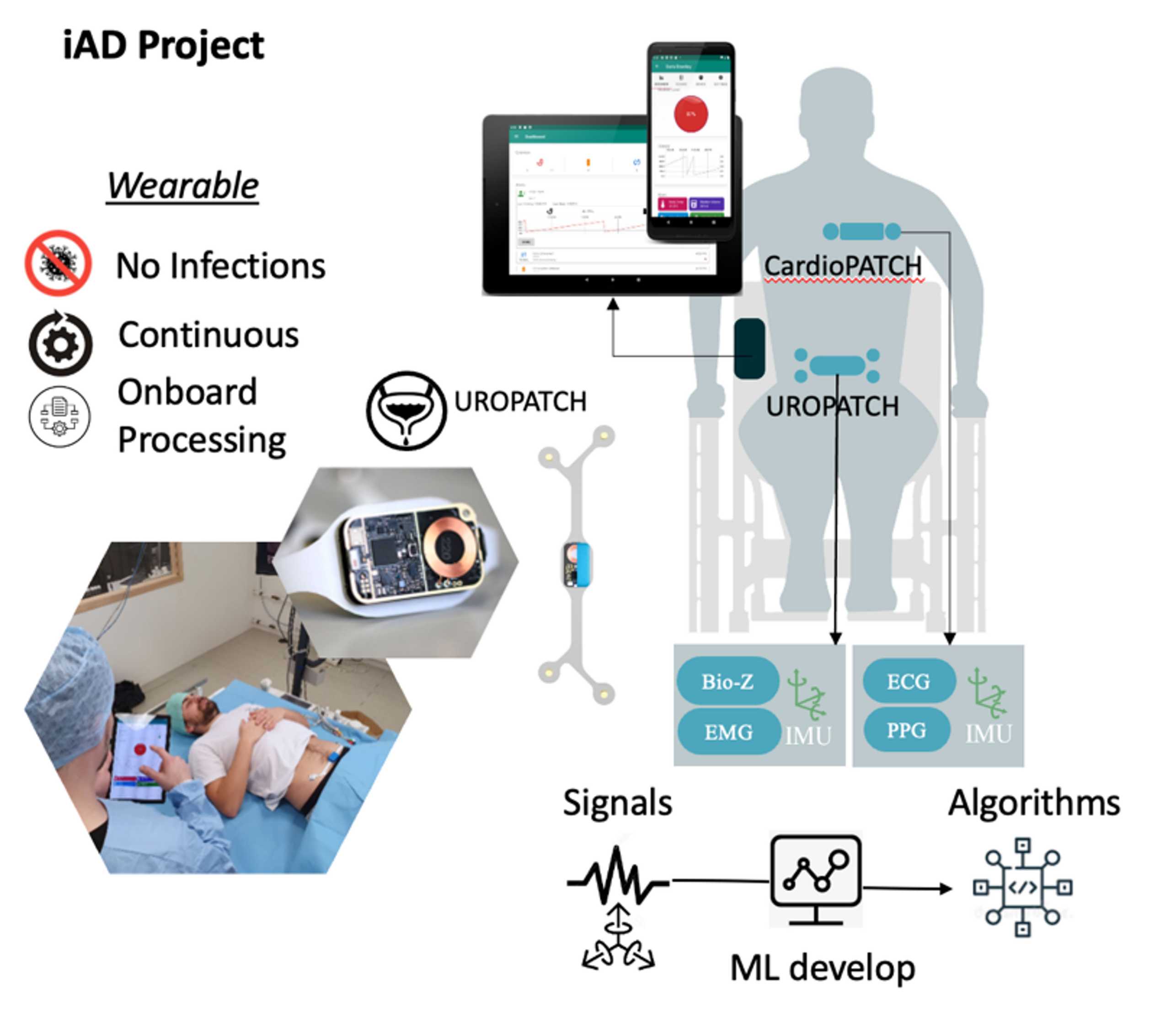 Enlarged view: Graphic that explains the iad project